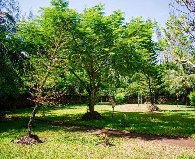 Kijani Cottages Diani เดียนีบีช ภายนอก รูปภาพ